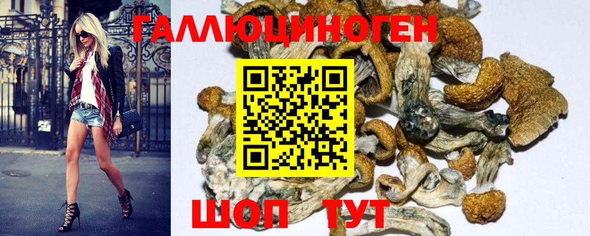 Галлюциногенные грибы MAGIC MUSHROOMS  хочу   Тара  Вход с VPN 