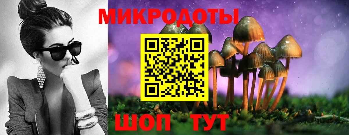 Псилоцибиновые грибы Psilocybine cubensis Тара